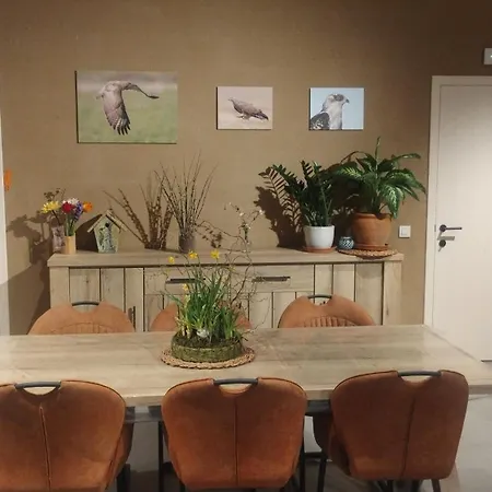 Vakantiewoning De Specht Сasa de vacaciones